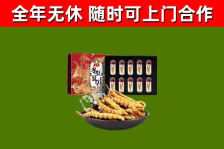 西吉烟酒回收冬虫夏草礼盒.jpg